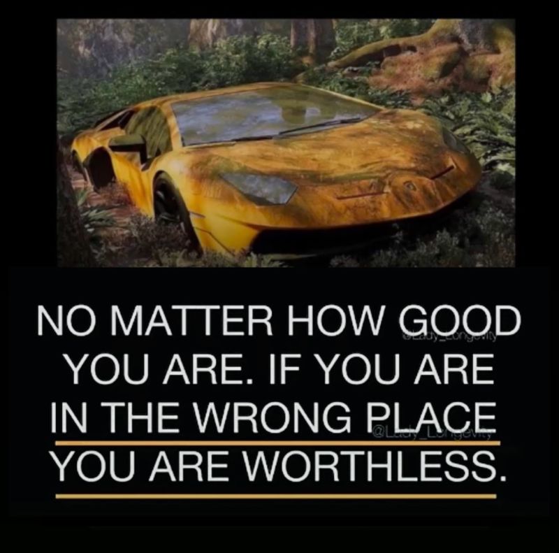 1751994234456_Wrong Place.jpg